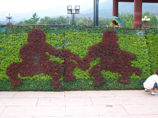 zyqclub.lv